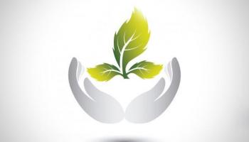 Environnement Environnement